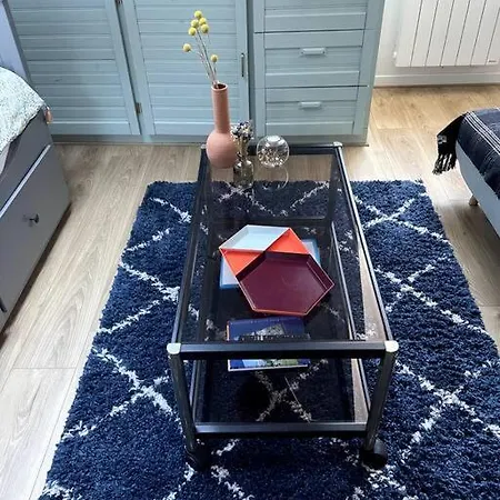 à 50m Du Centre&des Télécabines, Nid Douillet Appartement *