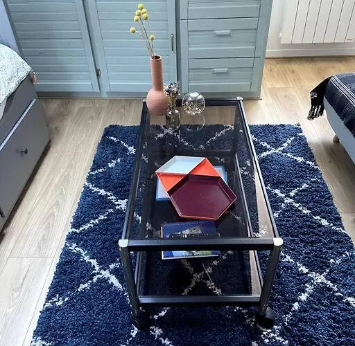 à 50m Du Centre&des Télécabines, Nid Douillet Appartement *