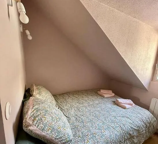 Appartement à 50m Du Centre&des Télécabines, Nid Douillet Cauterets